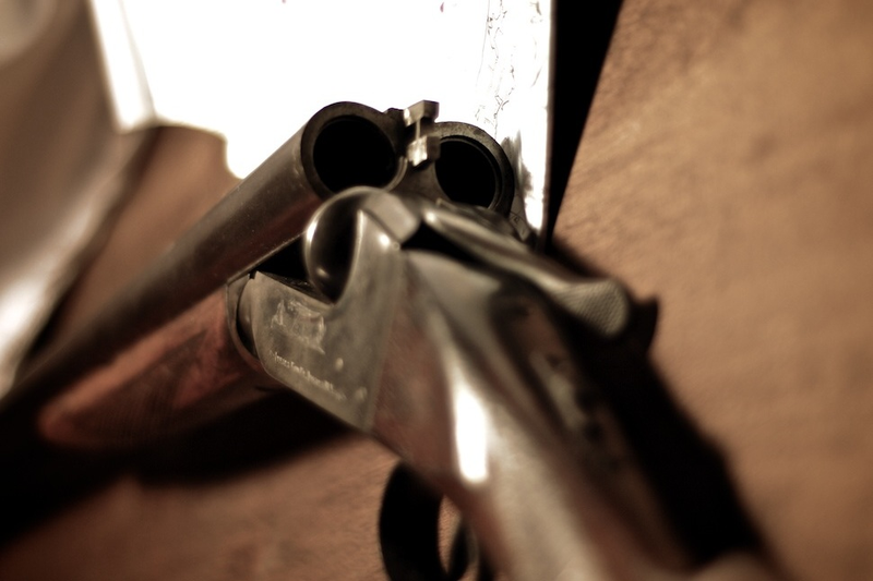 Illustration for article titled Shooting Gallery Challenge: Heirloom III